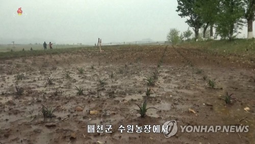 Sequía en Corea del Norte