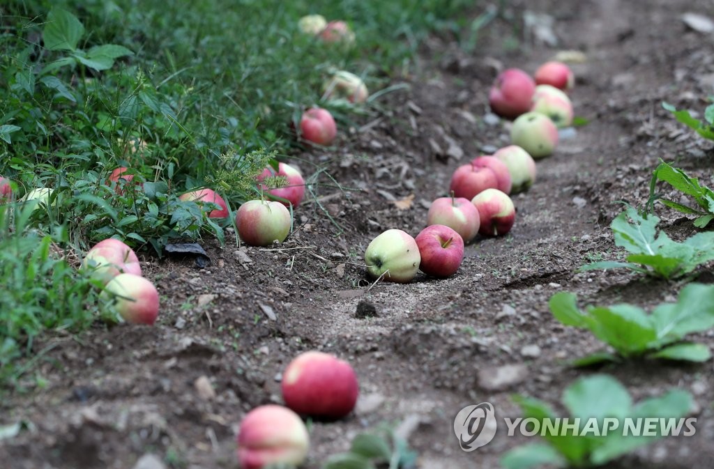 추석 대목 코 앞인데