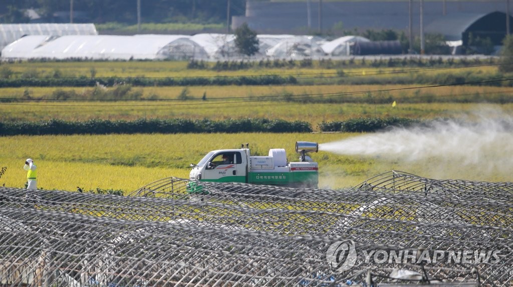 돼지열병 발병 농가 부근 방역 계속