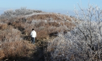'겨울로'