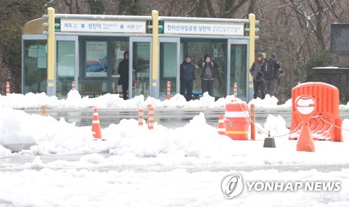 済州島に大雪