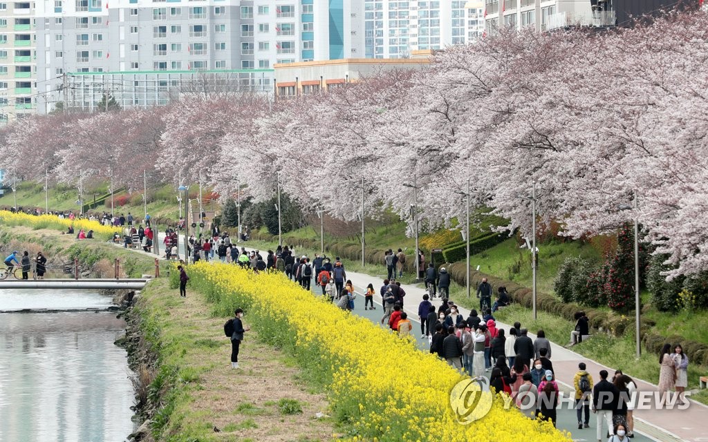 지난달 말 부산 온천천 모습