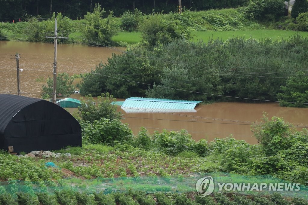 北朝鮮から韓国に流れ込む臨津江の下流、京畿道漣川郡で川沿いの農耕地が冠水している＝６日、漣川（聯合ニュース）