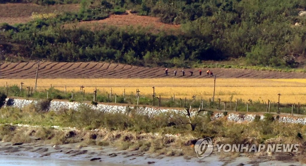 밭에서 일하는 북한 주민들