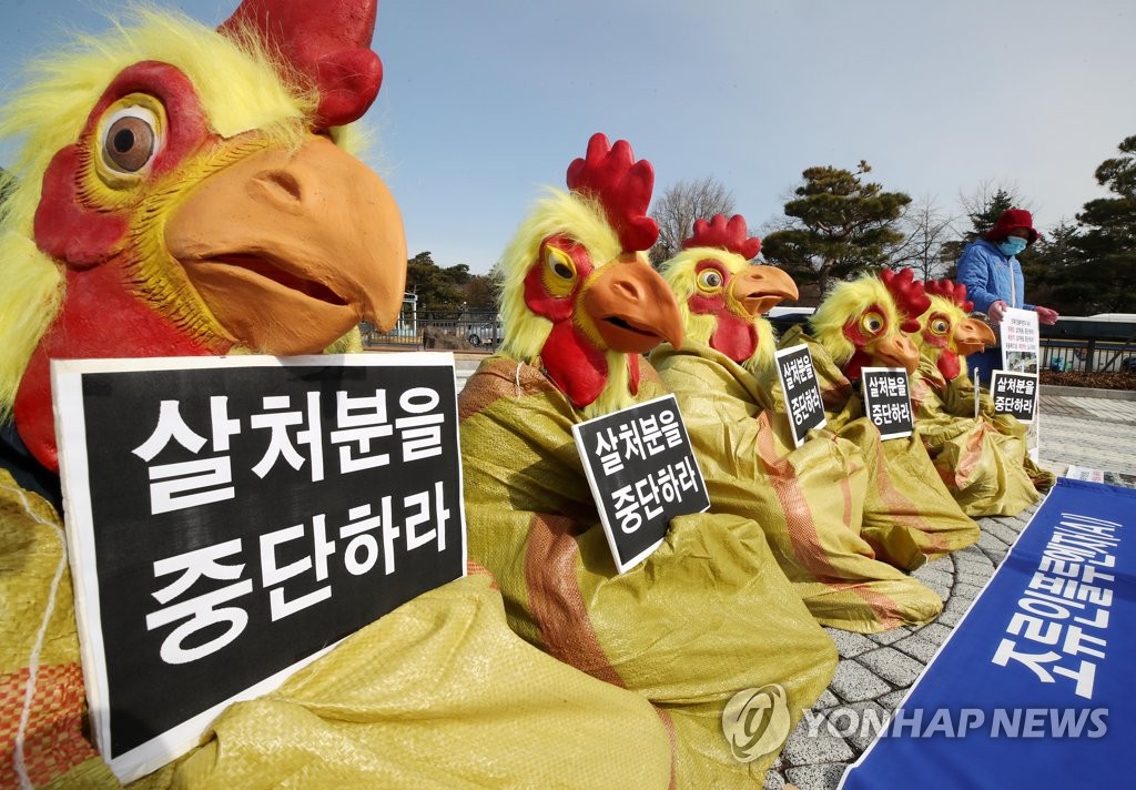 Activists stage a protest against the culling of poultry potentially infected with highly pathogenic bird flu near the presidential office in central Seoul on Jan. 25, 2021. (Yonhap)
