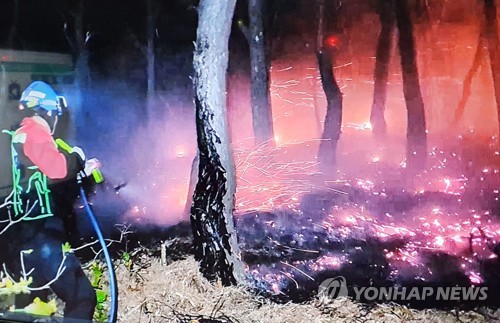 강원 양양 산불 2시간 만에 진화…10명 대피·5천㎡ 소실(종합)