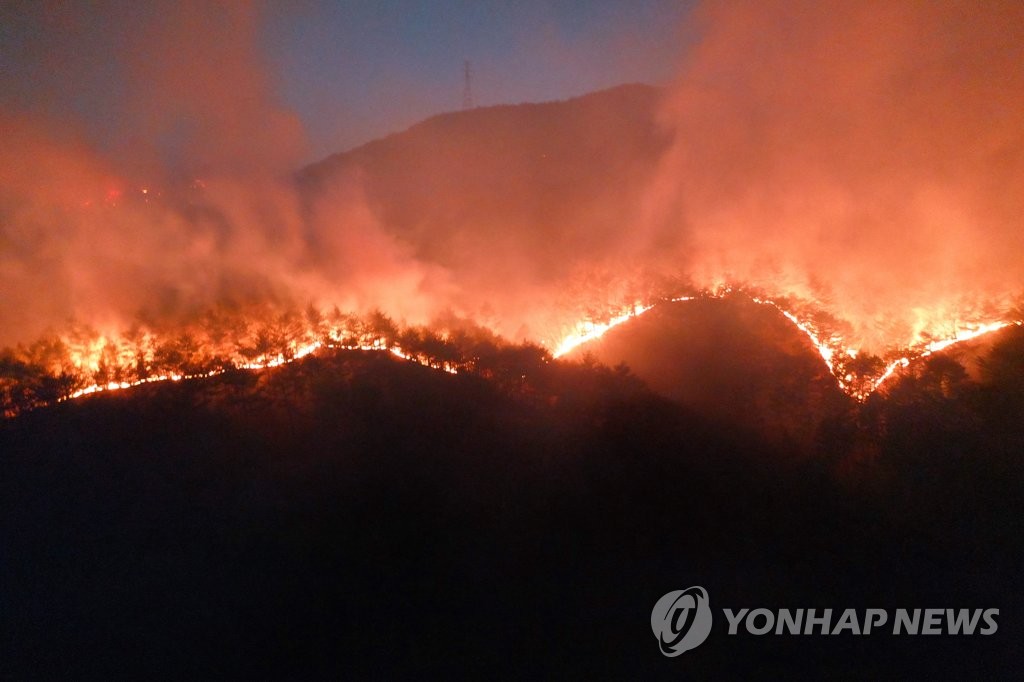 رجال الإطفاء يكافحون حرائق الغابات في بلدة يونغ دوك
