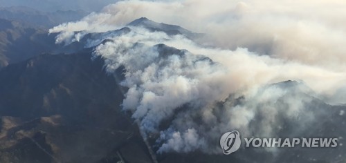 불길 수시로 금강송 위협…동해안 산불 피해 '역대 최대'