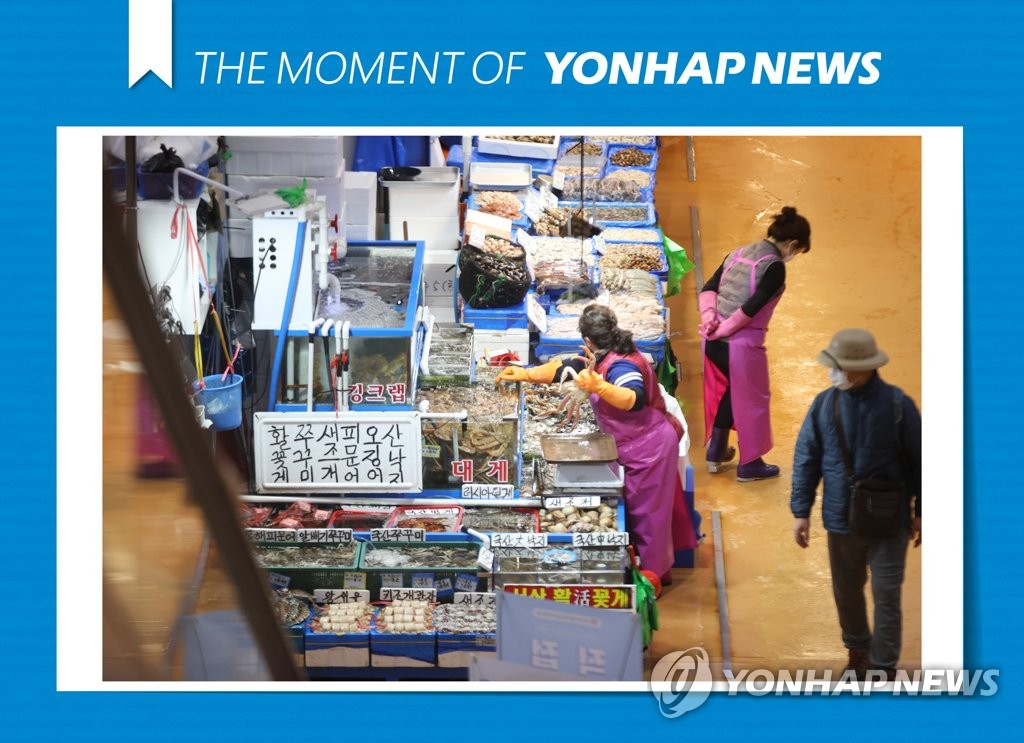 [모멘트] 절반 수준으로 떨어진 대게 가격