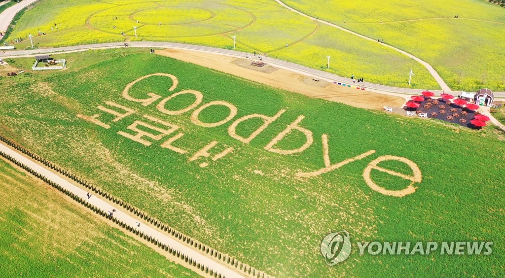 This photo, taken April 17, 2022, shows the phrase "Goodbye, coronavirus" in a rye field in Anseong, south of Seoul, as the country is set to lift almost all social distancing rules this week. (Yonhap)