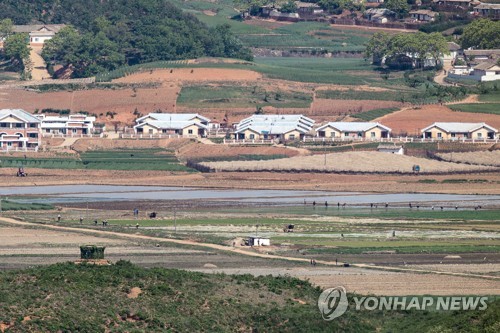 وزارة الوحدة: النقص الغذائي في كوريا الشمالية يتفاقم على ما يبدو