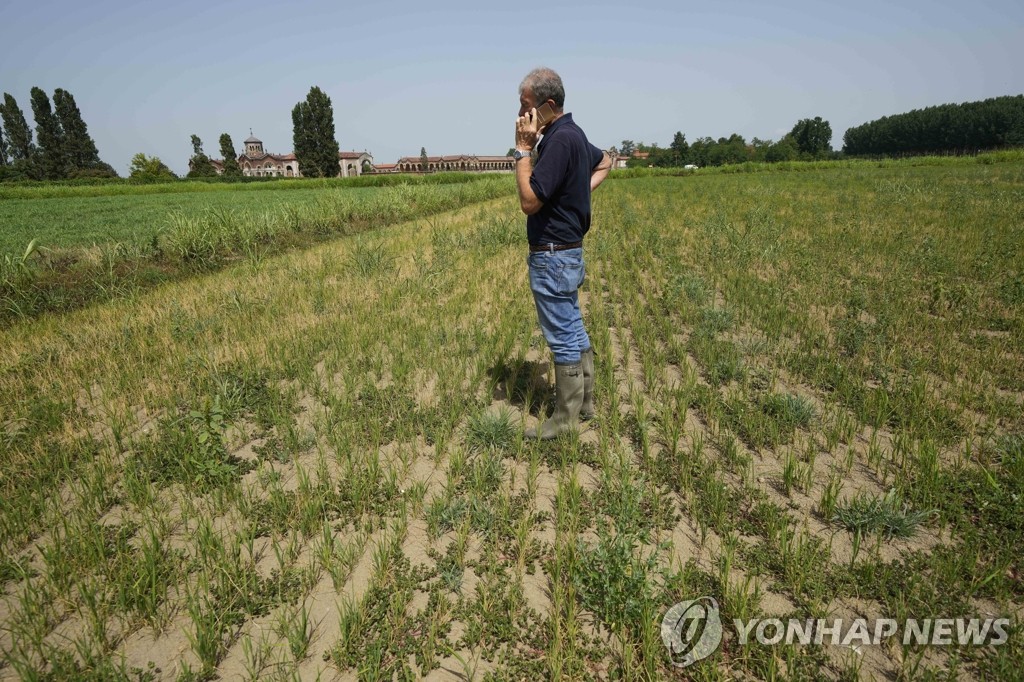 가뭄으로 말라버린 논바닥에 서 있는 이탈리아 농부