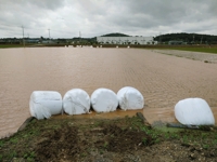 폭우로 농작물 재배지 3천㏊ 침수…서산·당진·화성시 등 피해