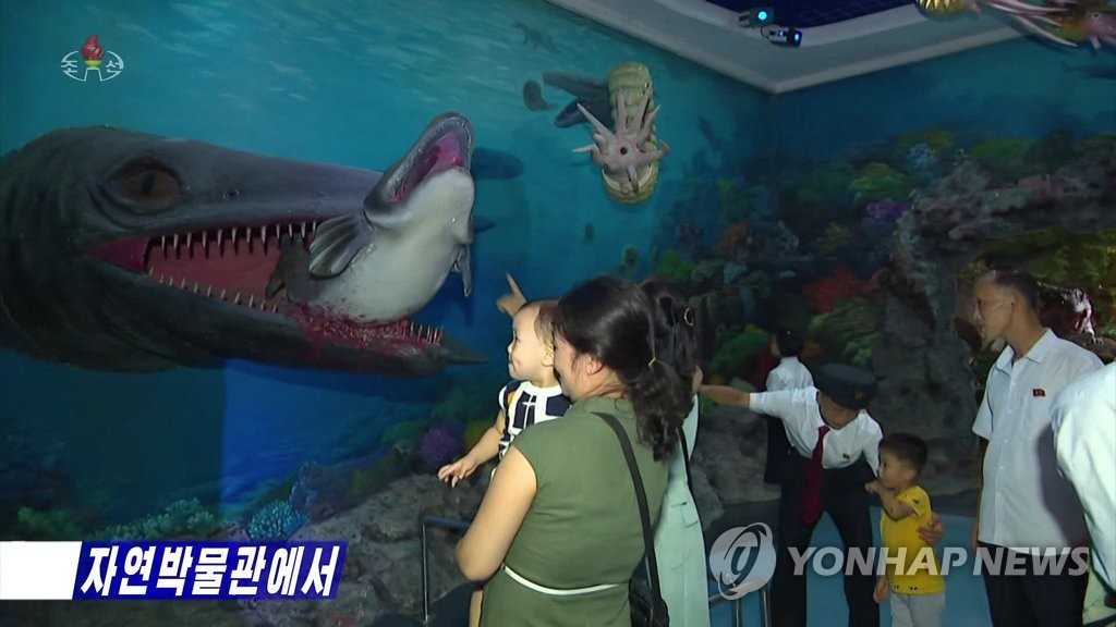 natural-history-museum-in-n-k-yonhap-news-agency