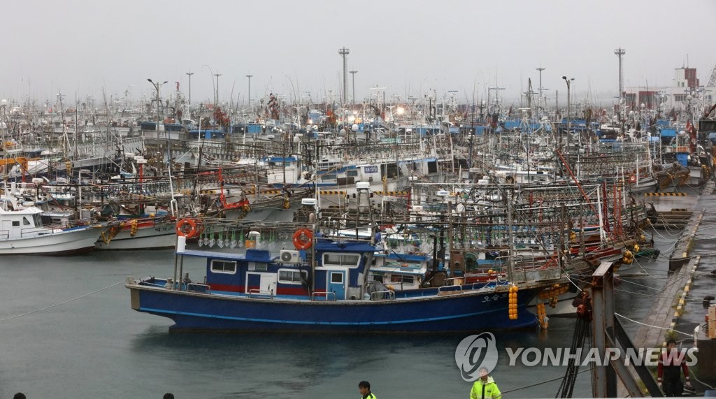 台風に備え済州道西帰浦市の港に停泊している漁船＝２日、西帰浦（聯合ニュース）