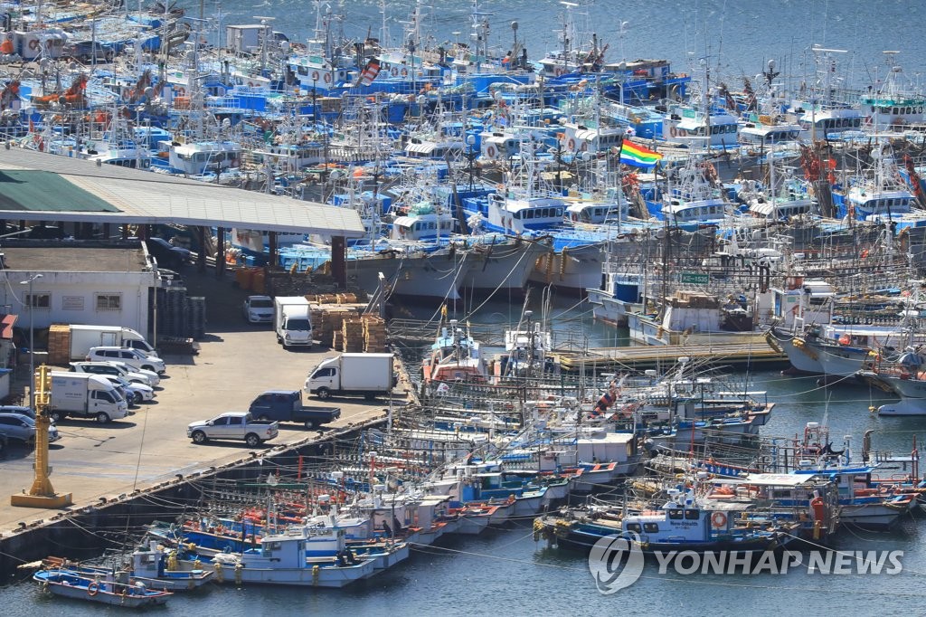 台風１４号の北上を受け、済州島の西帰浦港に避難している漁船＝１８日、西帰浦（聯合ニュース）