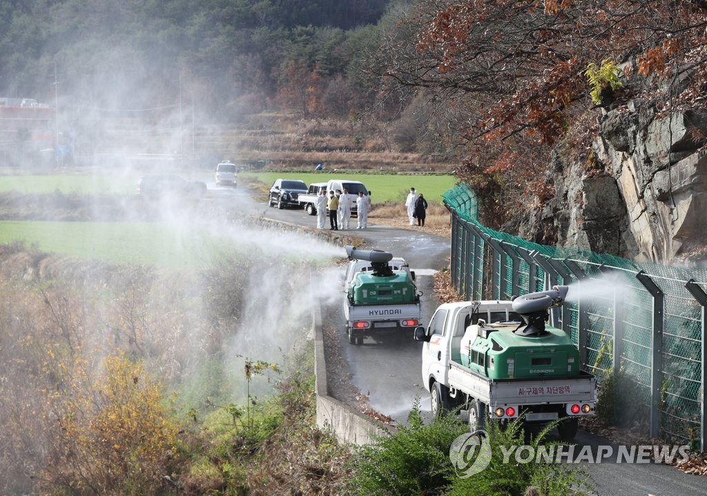 Los vehículos de prevención epidemiológica desinfectan el distrito de Samdong, en Ulju, a 414 kilómetros al sureste de Seúl, el 21 de noviembre de 2022, despúes de que se encontrara una cepa de H5N1 de gripe aviar altamente patógena en los excrementos de aves silvestres recolectados cerca del área.