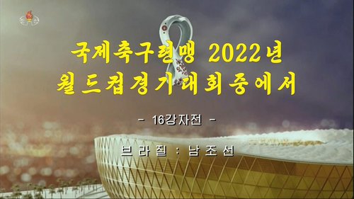 N.K. airs S. Korea-Brazil World Cup match