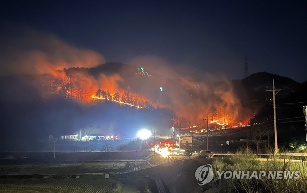 韓国東部で山火事