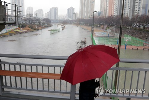 '겨울 폭우'에 항공기 결항 속출…축제장 곳곳 취소·차질