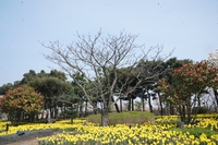 [픽! 제주] 