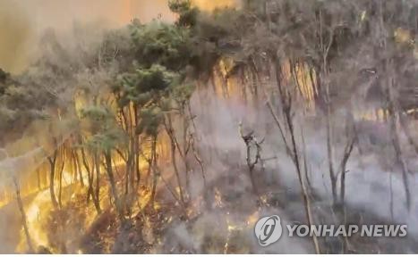 행안부 재난안전관리본부장, 홍성 산불 현장 긴급점검(종합)