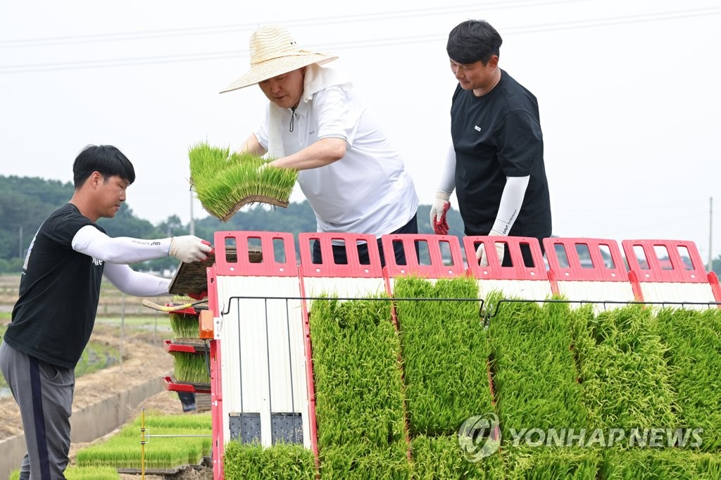 尹대통령, 청년 농업인과 모내기…직접 이앙기 탑승