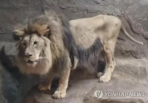 [팩트체크] 동물원이 '동물 감옥'인가…학대해도 처벌 규정 없다?