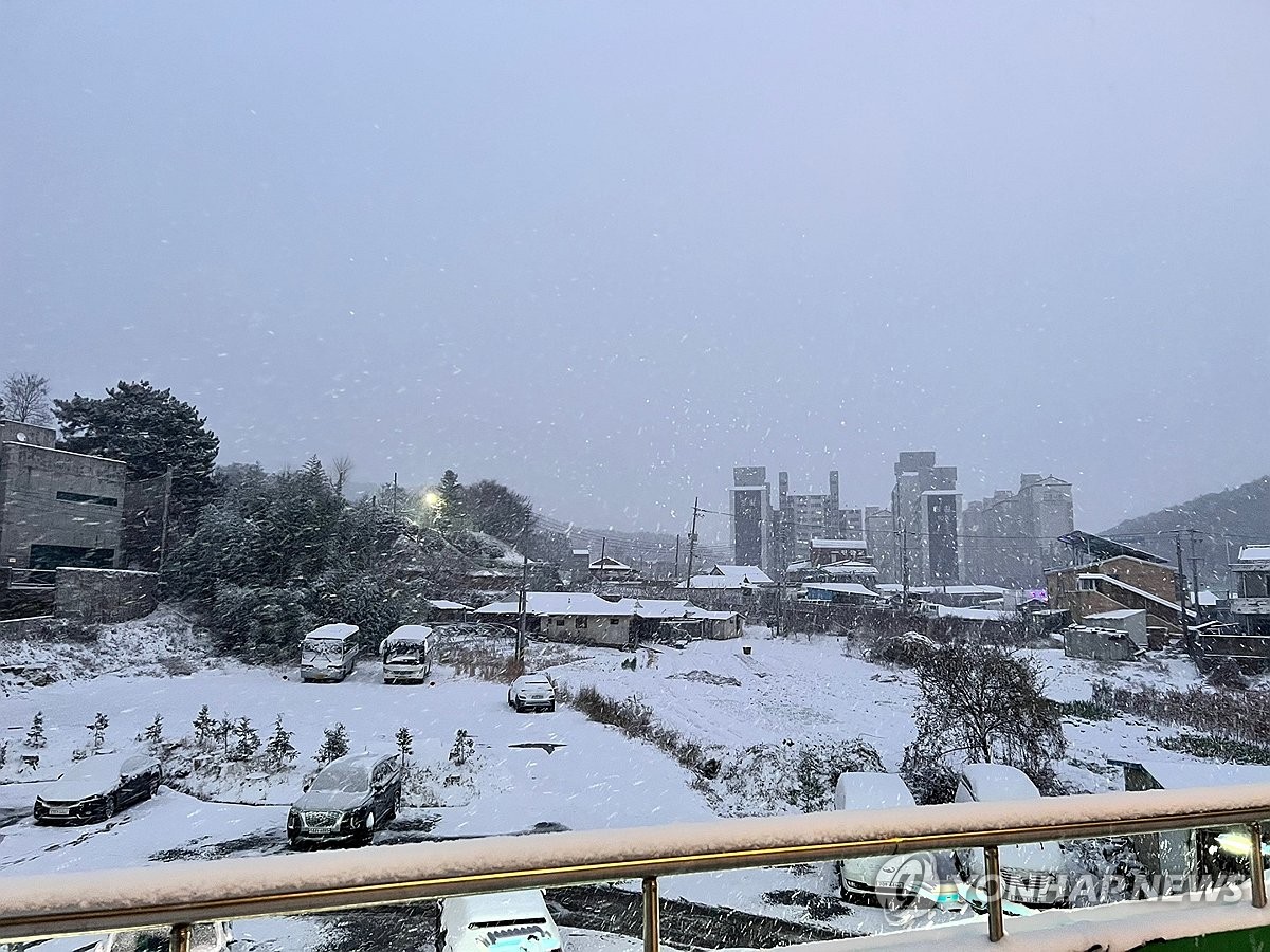 Seocheon-gun, Chungcheongnam-do Covered in Snow: 6 Cold-Related Illnesses and 48 Injuries Since the 1st of the Month