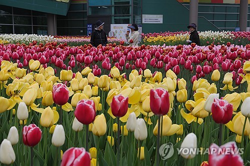 ソウル近郊で花博覧会
