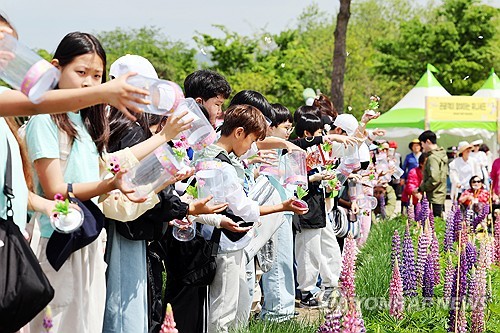 Hampyeong Butterfly Fest