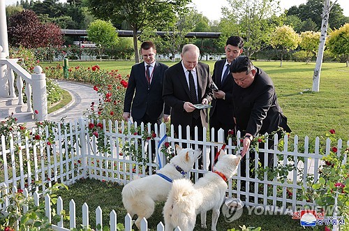 N. Korean leader gifts Putin pair of indigenous Pungsan dogs