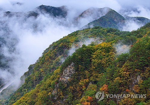 [내일날씨] 중부지방 구름, 제주·전남엔 비…낮 16∼20도