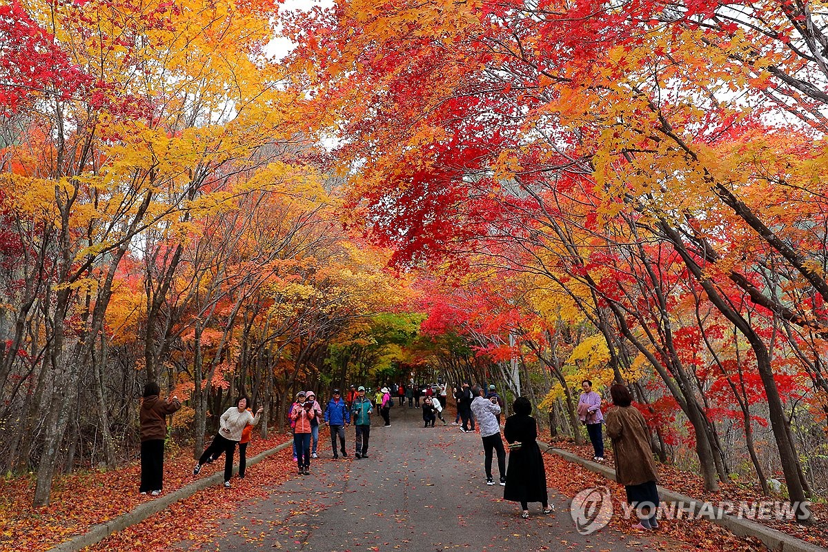 인제 필례약수터 오색 단풍