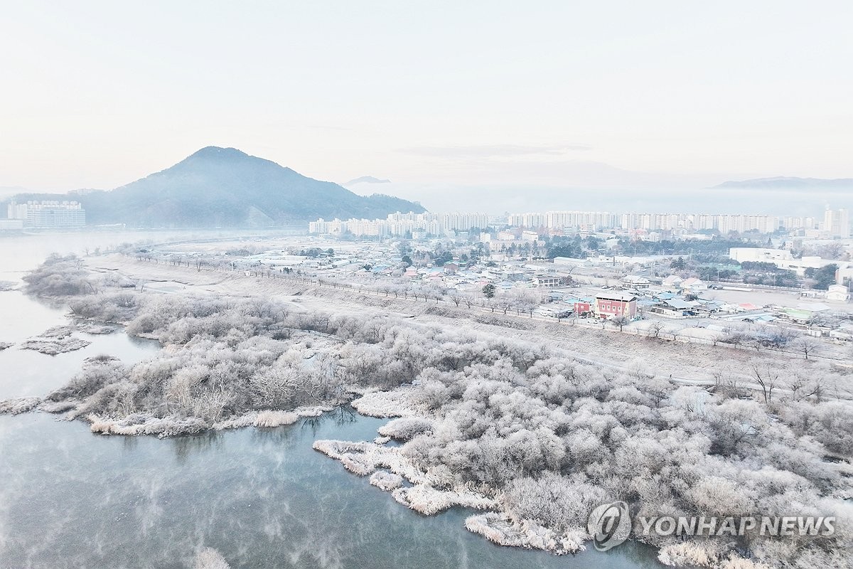 [픽! 춘천] 반짝 아침 추위에 수줍게 피어난 소양강 상고대