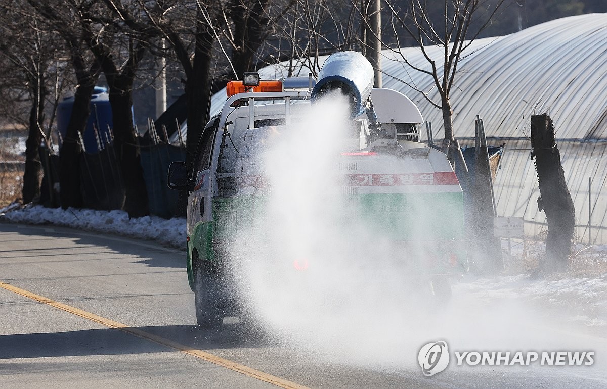 경남 김해 토종닭 농장서 고병원성 AI 발생