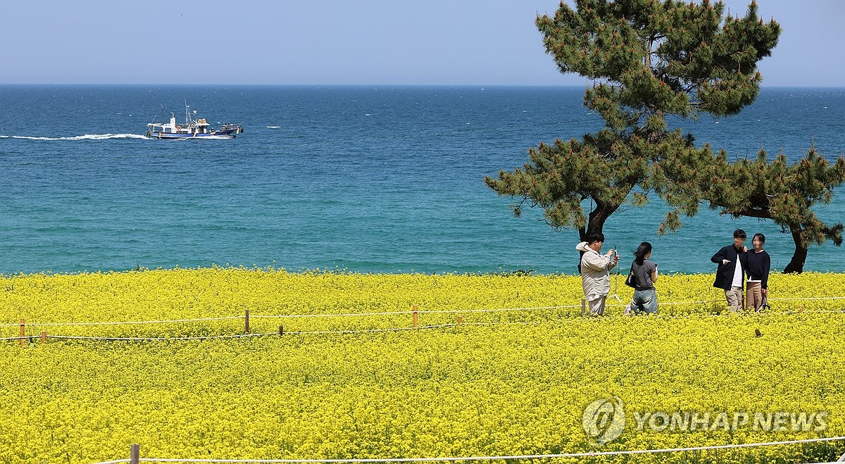 전국 낮 기온 25도 이상…오후부터 중부지방 비