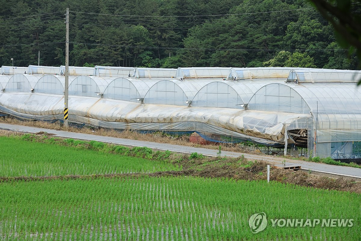 전북 남원 하루 175㎜ 