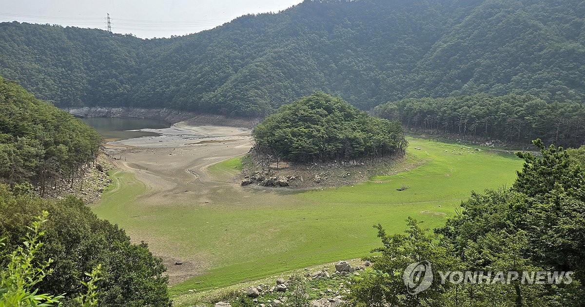 강원 영동 가뭄에 단비…내일까지 최대 120㎜ 이상 예…