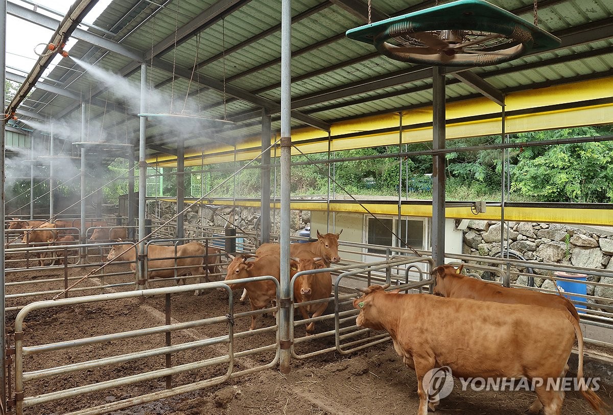 "폭염 가축피해 최소화"…농식품부, TF 꾸려 매일 현장 점검 관련 이미지1