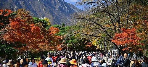 موسم أوراق الخريف المتغيرة