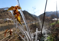 전북 일교차 큰 날씨…낮 최고 19∼20도