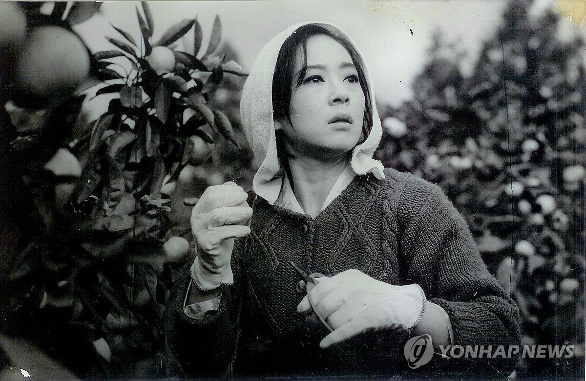 원로배우 김지미, 7일 저혈압 쇼크로 별세…미국서 장례(종합2보)