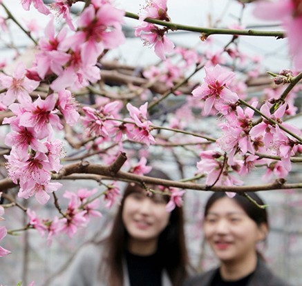 '봄이 오는 소리'…성큼 다가온 봄·봄