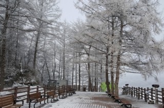 '봄이다'…파주시, '임진강변 생태탐방로' 운영 재개