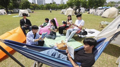 '잔디밭에서 즐기는 독서'…성균관대 '북 피크닉' 