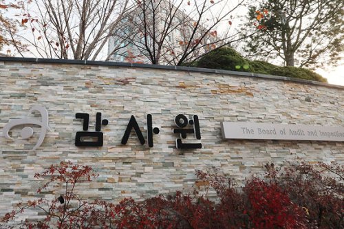 "코성형·피부미용을 비염·도수치료로 청구"…줄줄 새는 실손
