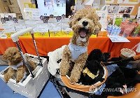 "반려견도 성격 따라 TV 시청 습관 달라…하루 평균 14분 시청"